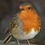 David_Bissett